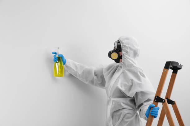 Why You Should Choose Our Mold Remediation Services in Taylor, AL